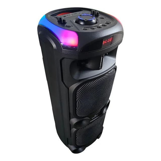 Bocina Grande Amplificada 2 X 8 Pulgadas, Karaoke Box (75w)