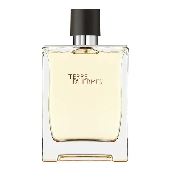 Perfume Terre D'hermès Eau De Toilette 100ml Para Hombre