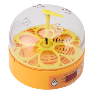 Incubadora De Ovos 6 Ovos Smart Hatchery Incubadora De Ovos 6 Ovos Smart Hatchery
