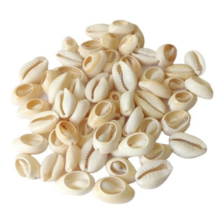 100 Conchitas De Mar Para Bisutería Cauris Conchas 100 Conchitas De Mar Para Bisutería Cauris Conchas