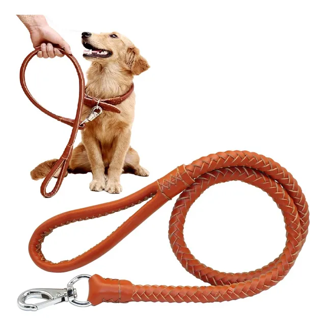 Correa Cuero Perro Collar Arnes Extra Larga Gruesa Lujo Anch