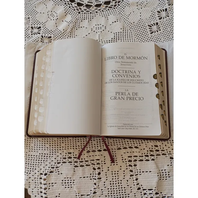 Santa Biblia Sud Con Portada En Cuero Y Páginas Doradas