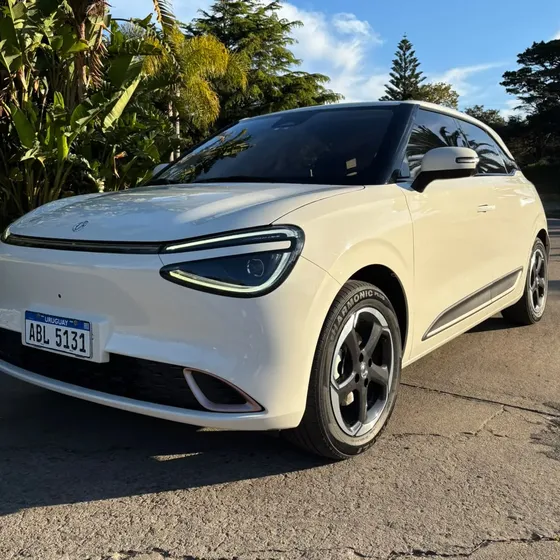 Dongfeng Nammi 2026 0.0 430 Eu (42,3 Kwh)