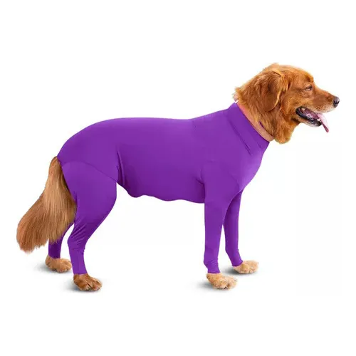 Ropa Todo De Incluido Para Perros En Otoño E Invierno