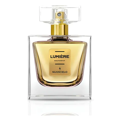 Perfume Feminino Chanel Coco Mademoiselle Eau de Parfum 100ml