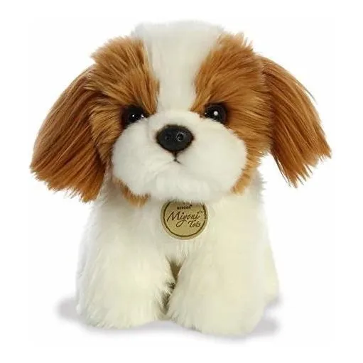 Aurora - Miyoni - 11  Shih Tzu Pup, N11lr