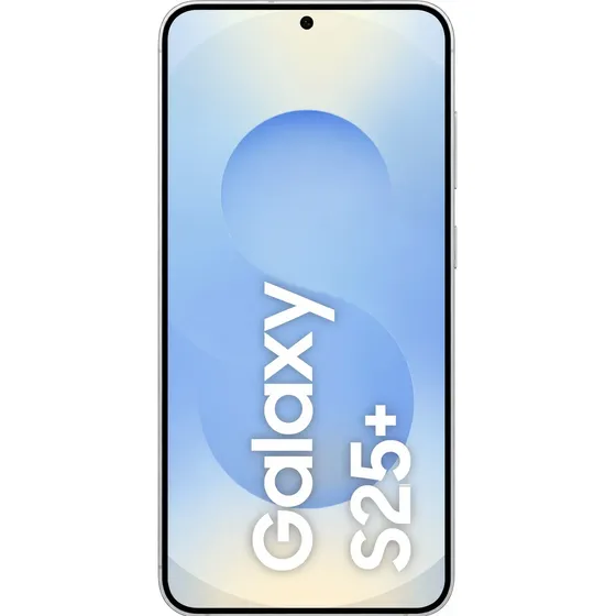 Samsung Galaxy S25 Plus 256gb Color Gris (Reacondicionado)