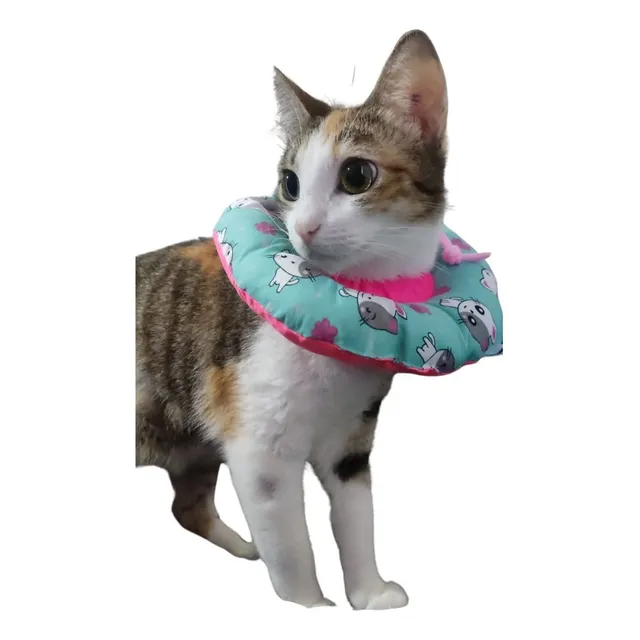 Collar Isabelino Tipo Dona Talla Xs