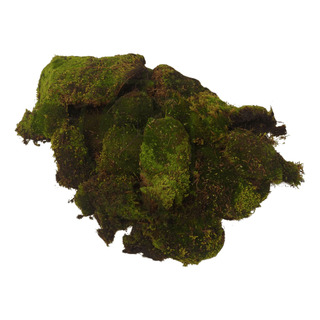 Musgo Natural Deshidratado Musgo Natural Deshidratado