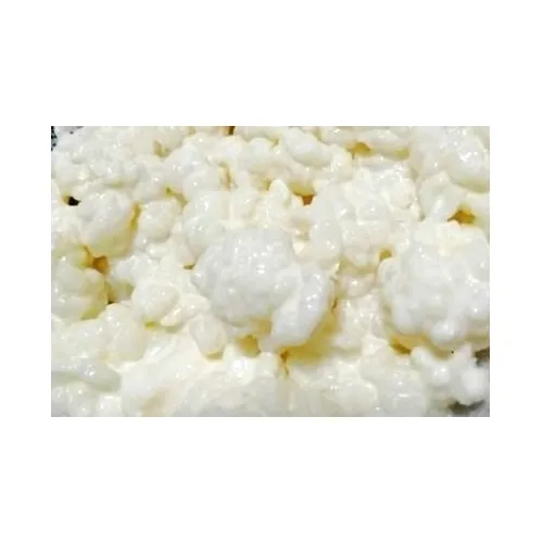 Yoka Yogurt Gránulos Kefir, Natural Y Económico.