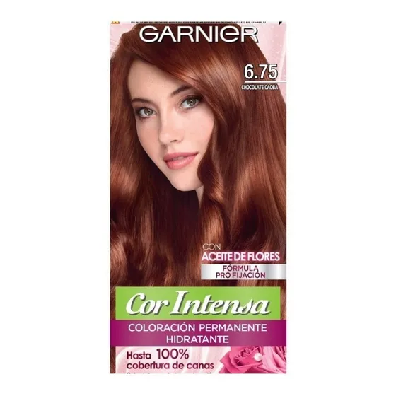 Tinte Capilar Garnier Color Intenso 6.0 - - g a $79