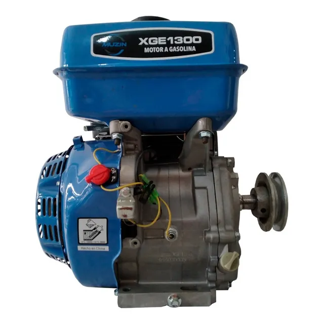 Motor A Gasolina Xge1300 13hp 389cc