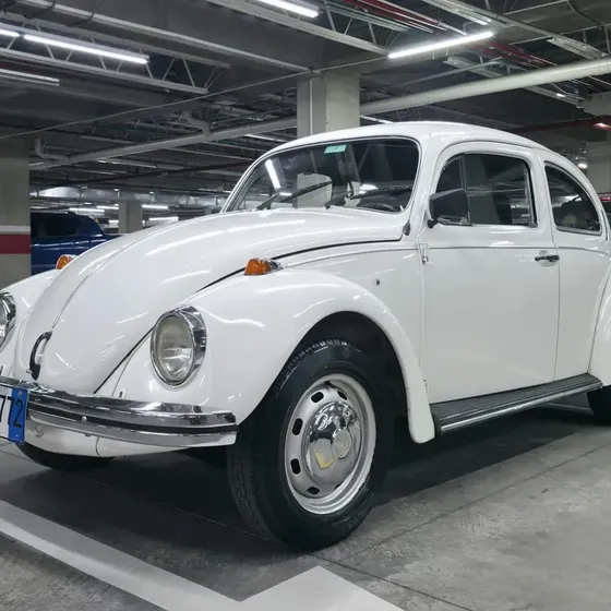 Volkswagen Escarabajo 1979 1.6 Escarabajo