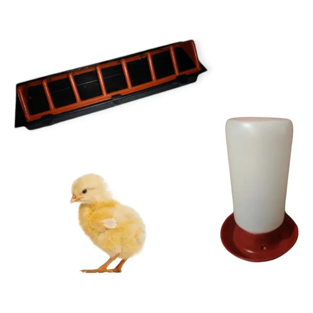 10 Bebedero 1 Litro + 10 Comederos 30 Cm Para Pollito