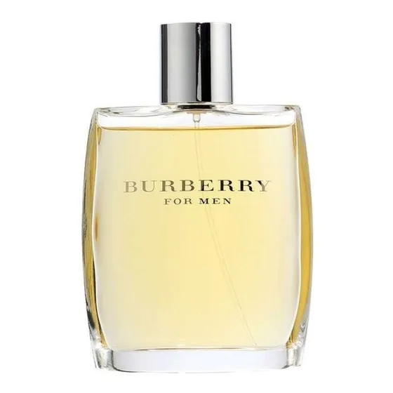 Burberry For Men Edt 100ml Premium