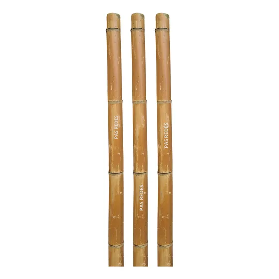 Bambu Mossô Tratado Kit Com 4 Peças De 1,90m Cada