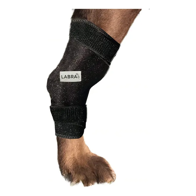 Labra Dog Canine K9 - Envoltura De Compresion Para Piernas D