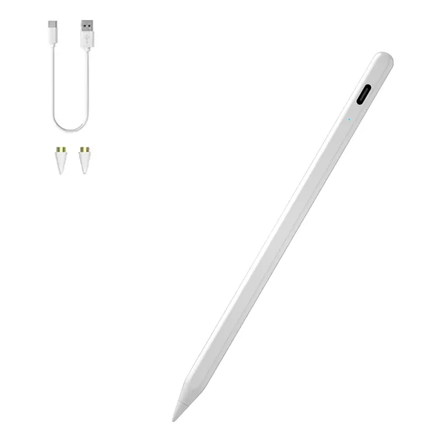 Lápiz Óptico Stylus Para iPad Con Rechazo De Palma Magnético
