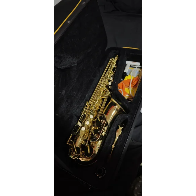 Saxo Alto Prelude By Conn Selmer As710