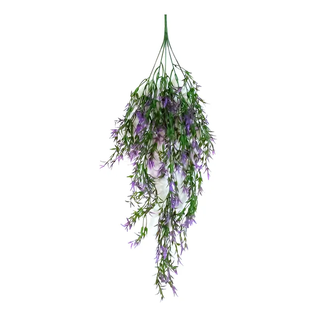 Planta Colgante Buxus Morado