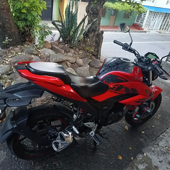 Seguro Y Tecnomecanica Hasta Diciembre, Impuesto Pago.