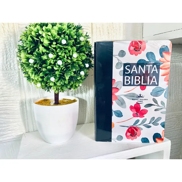 Biblia Reina Valera 1960 Para Mujeres