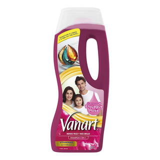 Shampoo 2 En 1 Antifrizz Vanart Vitaminas 750 Ml Shampoo 2 En 1 Antifrizz Vanart Vitaminas 750 Ml