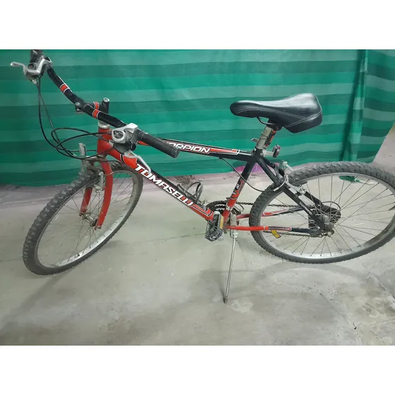 Bicicleta Tomaselli Escorpión Rodado 26,urbana