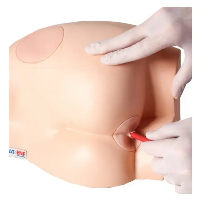 Modelo Glúteo Simulador Injeção Intramuscular E Sonda Retal