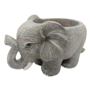 Para Maceta De Elefante Maceta De Elefante Maceta De Para Maceta De Elefante Maceta De Elefante Maceta De