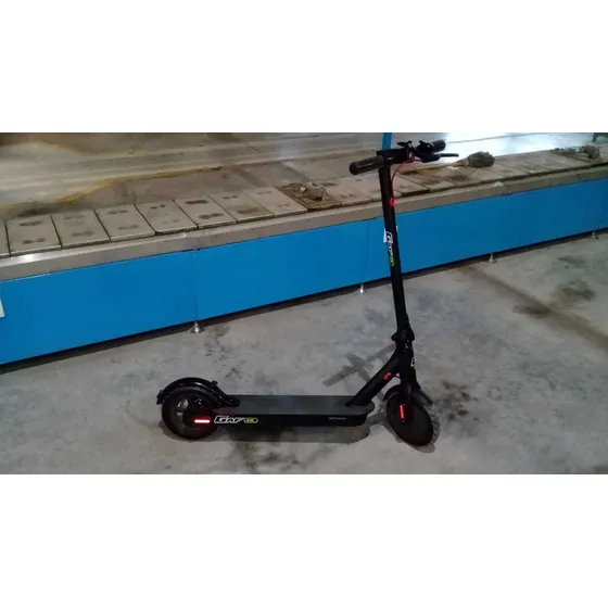 Monopatin Electrico Eco 300w