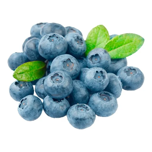Muda De Mirtilo Blueberry Já Produz