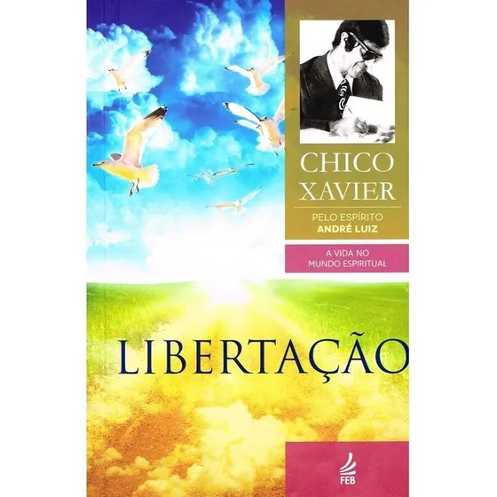 Libertação de Chico Xavier Série A Vida no Mundo Espiritual vol. 6. Editora Feb capa mole edição 33 em português 2013
