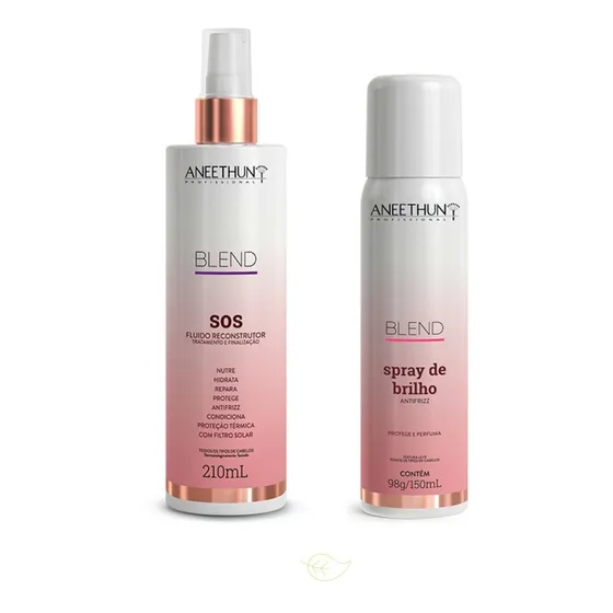 Kit Blend Aneethun Sos Reconstrutor + Brilho Intenso