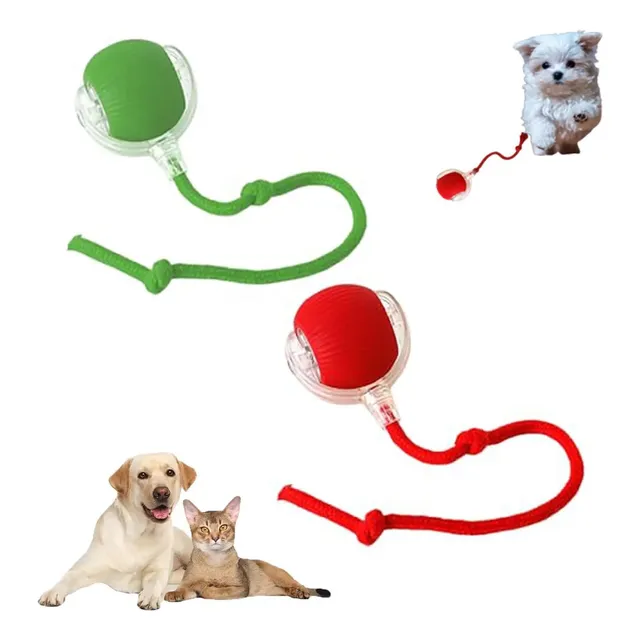 Juguete Gato Pelota Interactiva Recargable Automatica Color Rojo