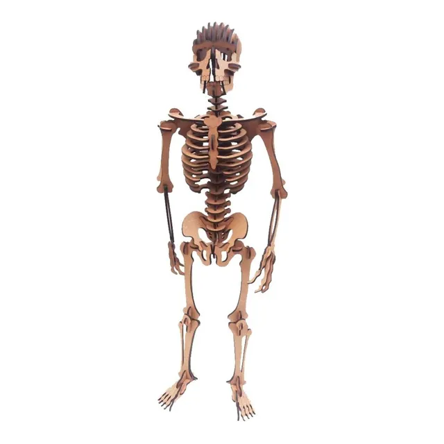 Esqueleto Humano Quebra Cabeça 3d Mdf 3mm 119 Pç Genitori