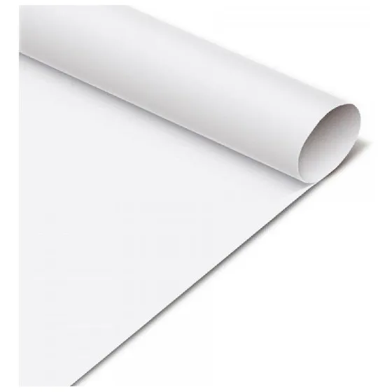 Papel Cartulina Pliegos X 5 Unidades Blanco
