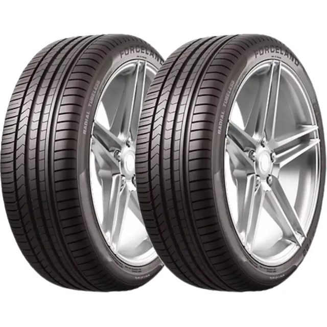 Kit de 2 llantas Forceland Vitality F22 195/65R15 91 V
