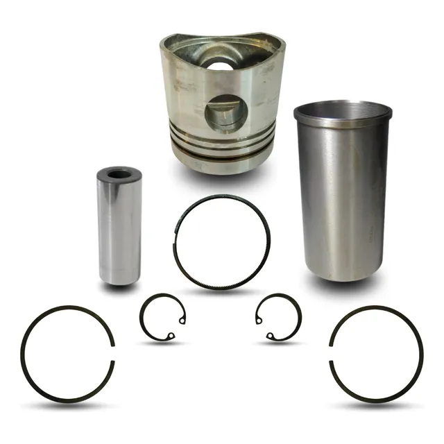 Kit Motor Mwm 226 Aspirado 1 Cilindro 922680190148 Original