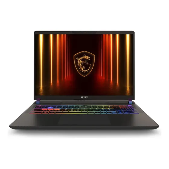 Msi Vector Amd Ryzen 9 Rtx 5070ti 16gb 1tb Ssd 240hz 16