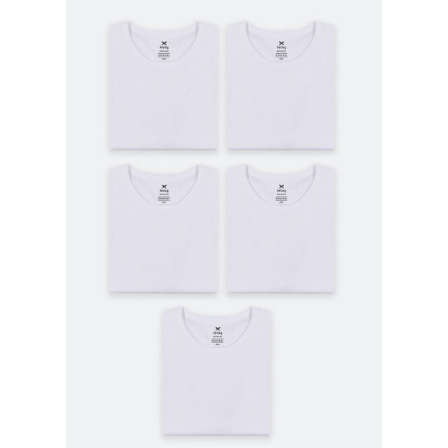 Kit Com 5 Camisetas Masculinas Básicas Hering Kit Com 5 Camisetas Masculinas Básicas Hering