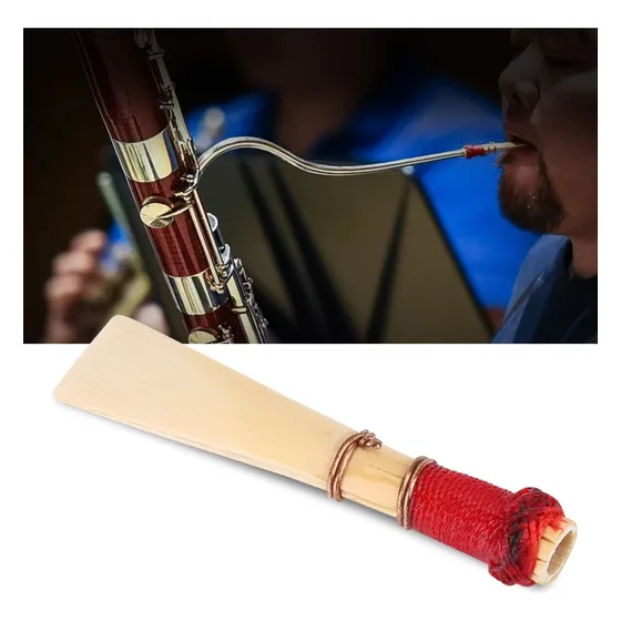 Cañas Para Fagot