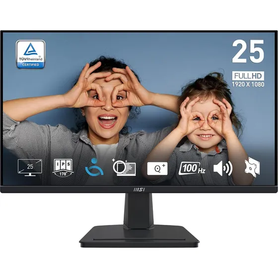 Monitor 25 Pulgadas Msi Pro Mp251 100hz Ips 1080p En/divisas