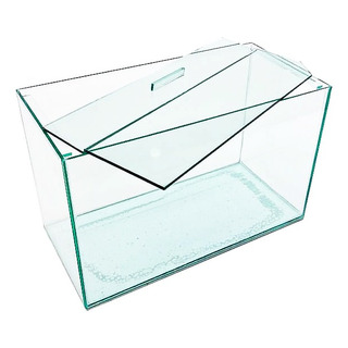 Aquário Vidro Retangular Nº5 Simples 40x19x25 19lt Peixes Aquário Vidro Retangular Nº5 Simples 40x19x25 19lt Peixes