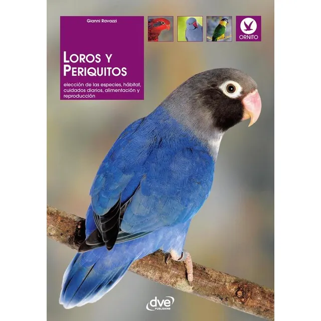Loros Y Periquitos, De Gianni Ravazzi