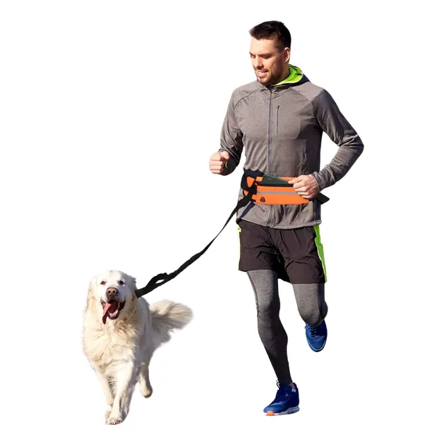 Cinturon Correa Para Correr Con Tu Perro Bolsillo P/botella