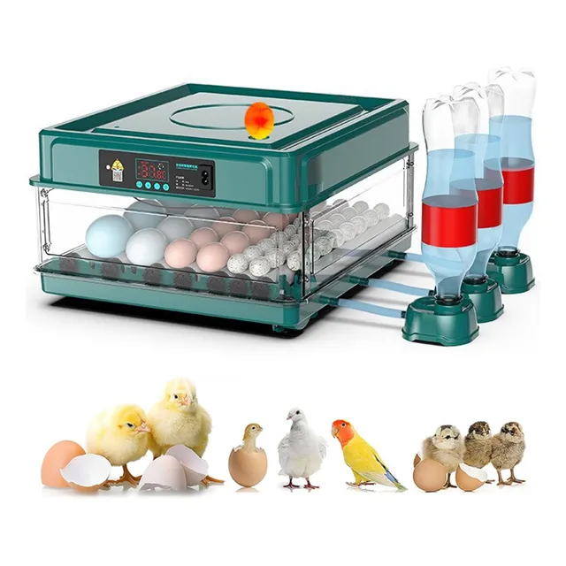 Incubadora automática de aves Yunjas color verde