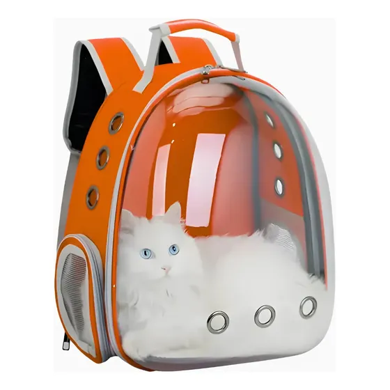 Suporte Para Transportar Caes Em Moto Com Segurança