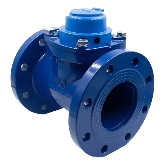 Medidor De Agua De 4 Bridado Woltman Dorot Turbina Lxlc
