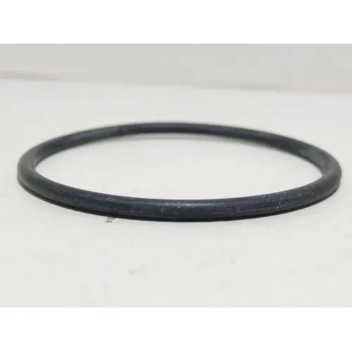 Anel De Vedação Copo Filtro Lorenzetti Versatille - Ft-07a